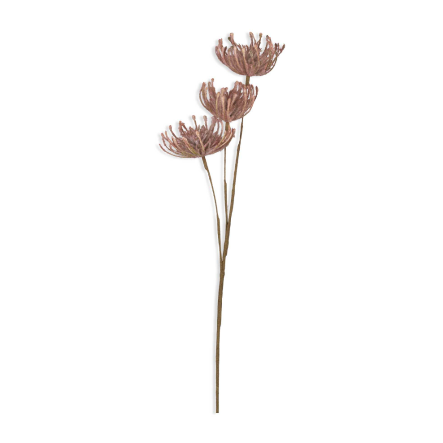 Blush Artificial Leucospermum by Abigail Ahern