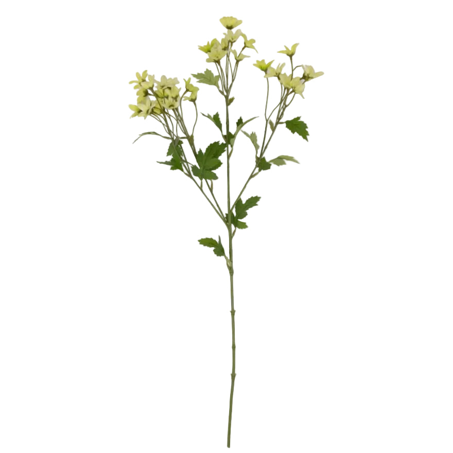 Artificial Meadow Daisy by Abigail Ahern
