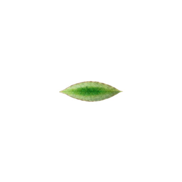 Riviera Tomate Laurel Leaf Plate