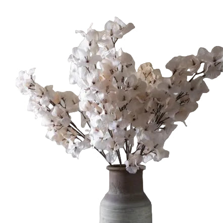 Blush Bougainvilla Stem by Abigail Ahern