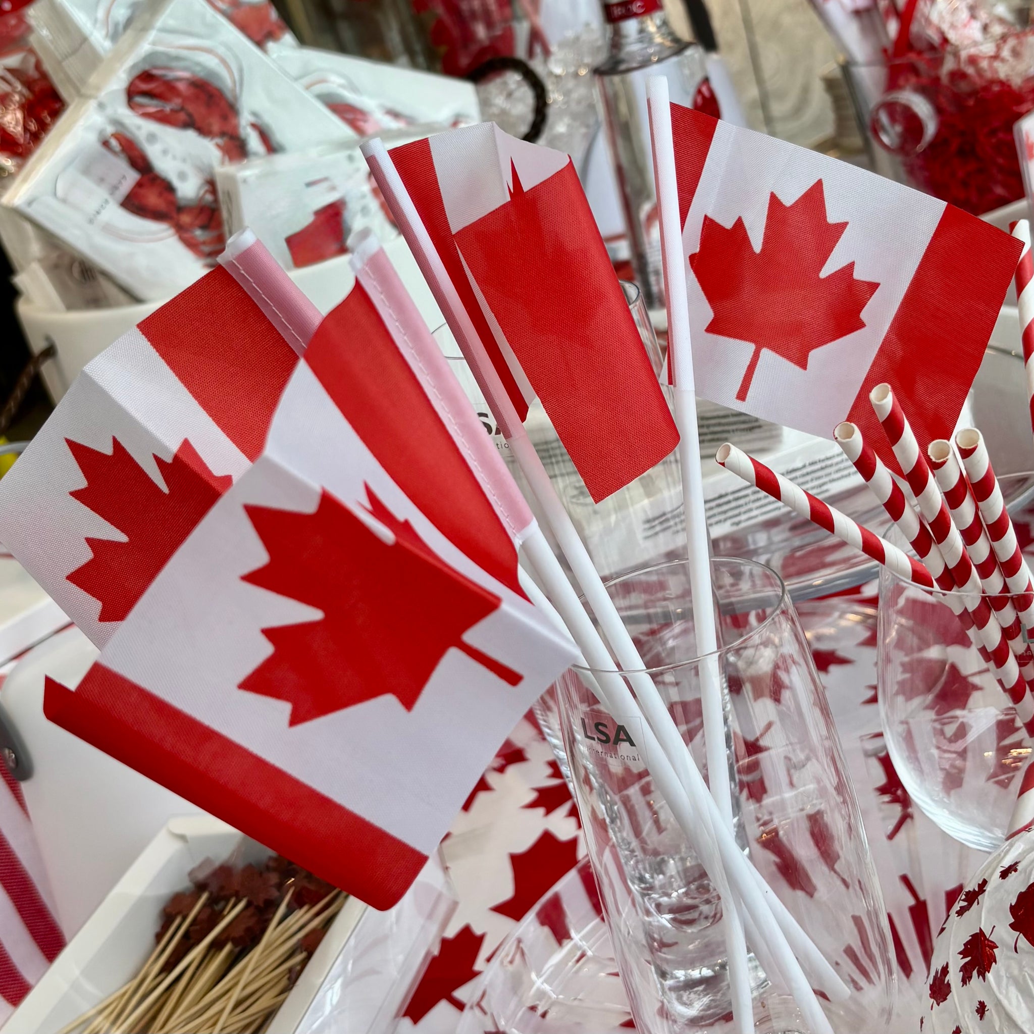Mini Canadian Flags