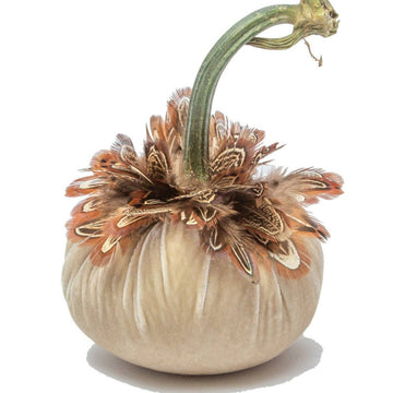 Cream with Pheasant Feather Collar Pumpkin