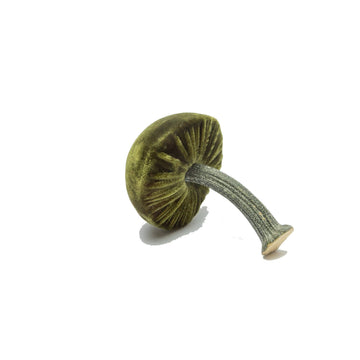 Mini Silk Velvet Moss Mushroom