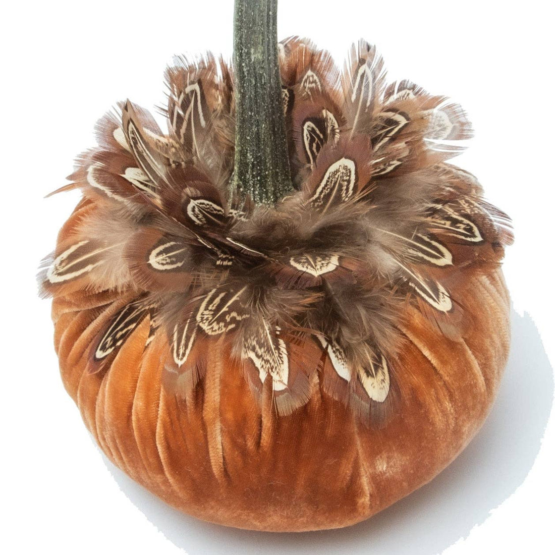 Spice with Pheasant Feather Collar Pumpkin