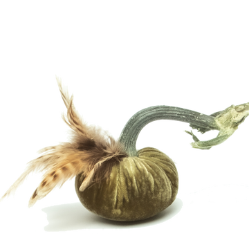 Celery with Ringneck Plume Pumpkin