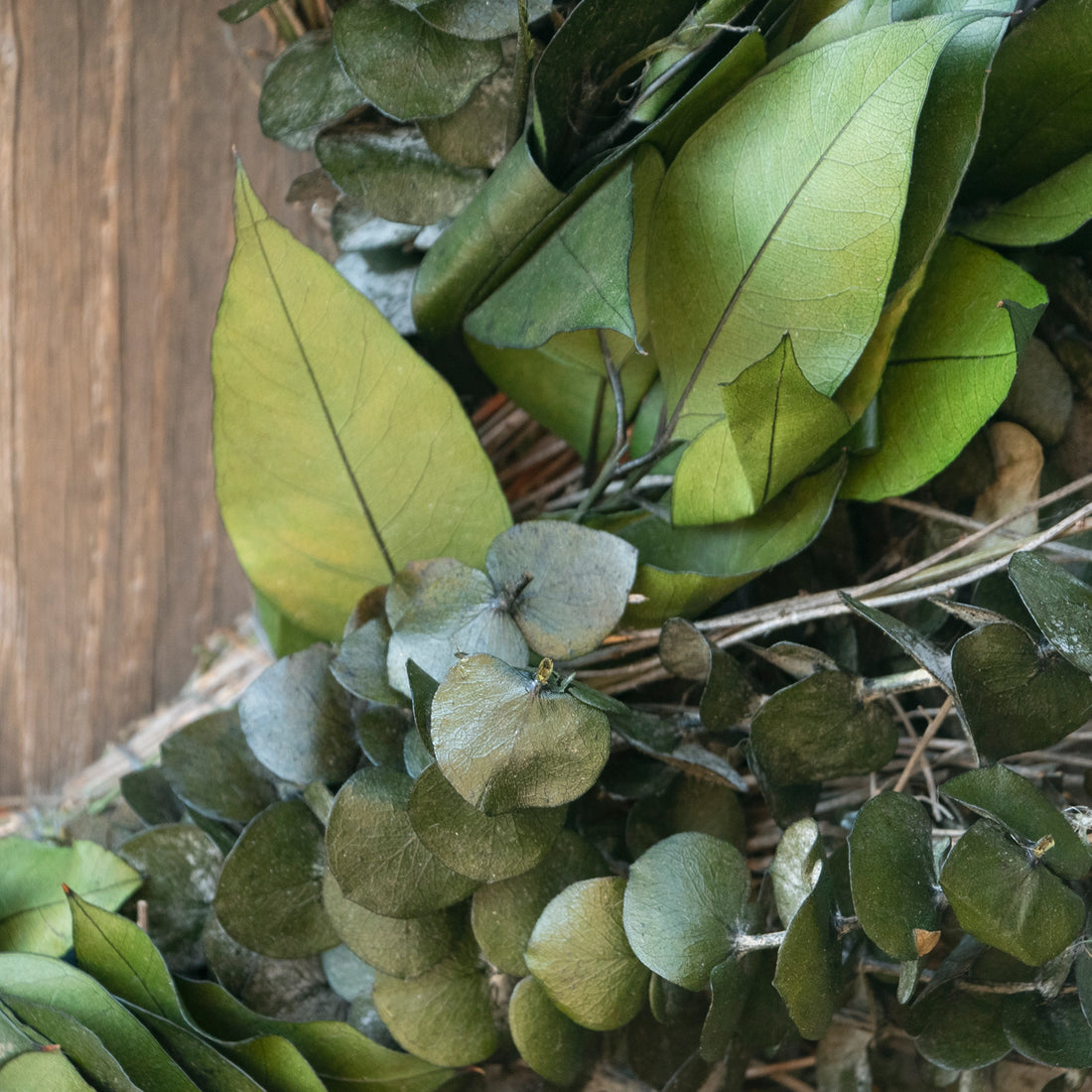 Eucalyptus Wreath