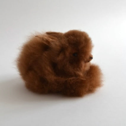 🇨🇦 Brown Baby Alpaca Bunny